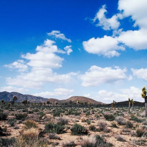 The Chihuahuan Desert is a desert and ecoregion designation covering parts of northern Mexico and the southwestern United States.