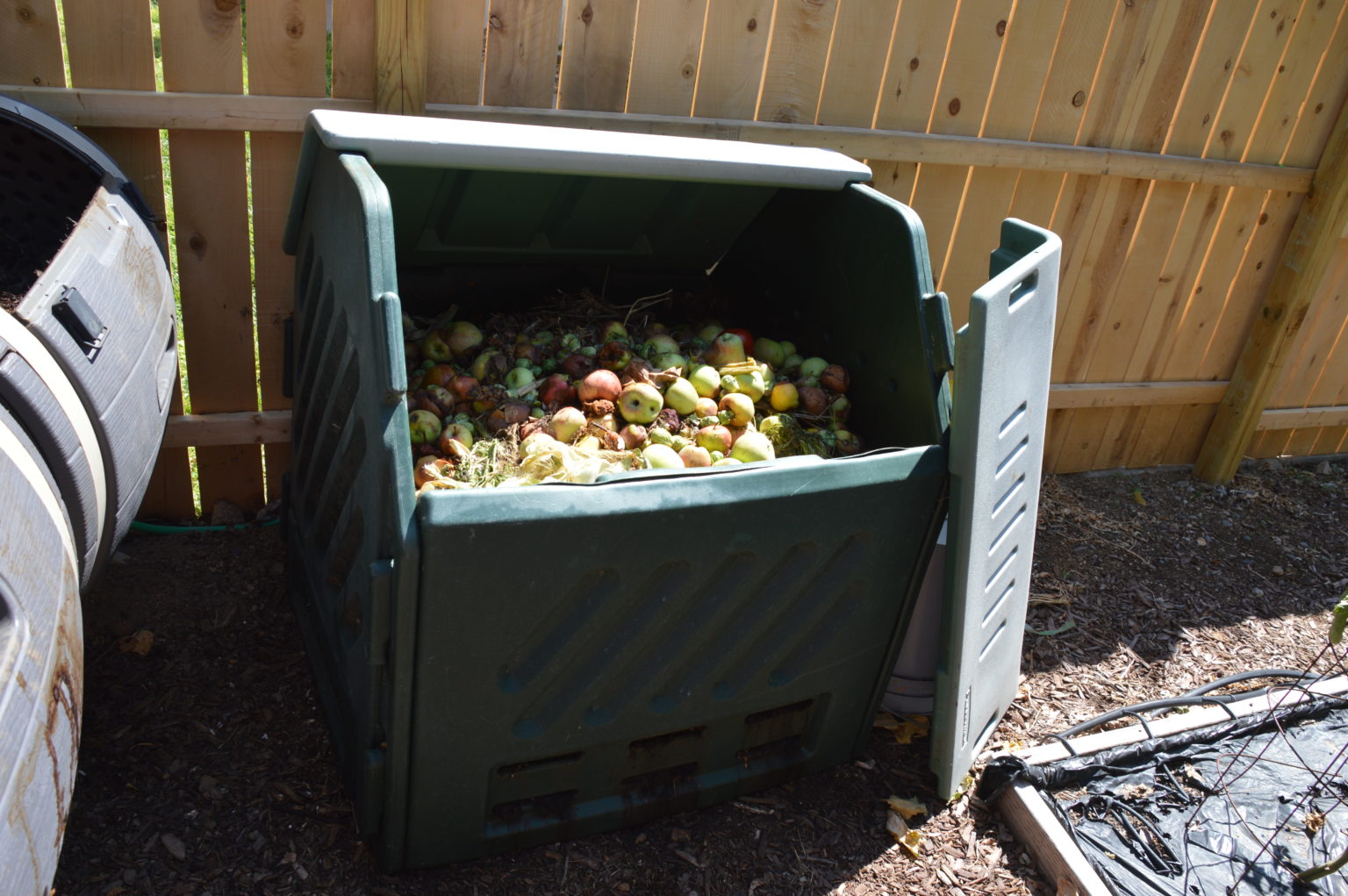 The Art of Composting - Vegetables in the Desert? Absolutely!