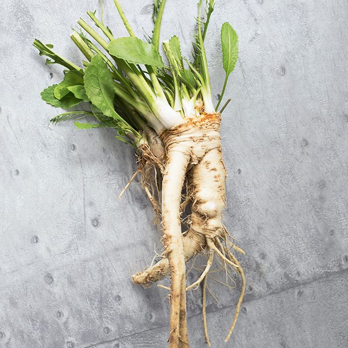 Horseradish Vegetables in the Desert? Absolutely!